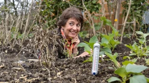 Beaucoup ratent leurs semis de betteraves en mars alors qu’une méthode simple existe vraiment