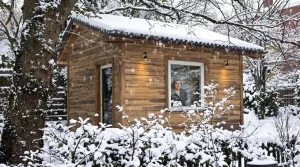 Nichoir : ce détail à corriger d'urgence chez vous pour que les oiseaux viennent s'y abriter tout l'hiver