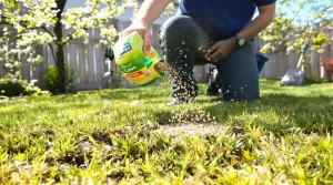 Quels engrais utiliser pour une belle pelouse au printemps ? La réponse simple pour bien démarrer