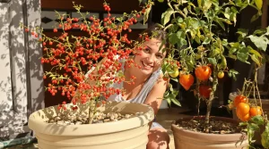 Adieu la tomate : pourquoi la baie de goji révolutionne votre potager cet été