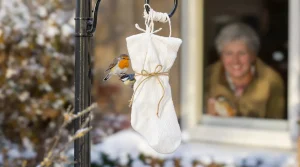 Attention, vos oiseaux sont en danger : pourquoi glisser un savon dans une chaussette peut les sauver