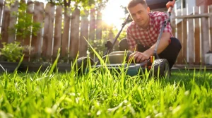 Au printemps, ce réglage de tondeuse évite l’erreur qui ruine la pelouse dès les premières chaleurs