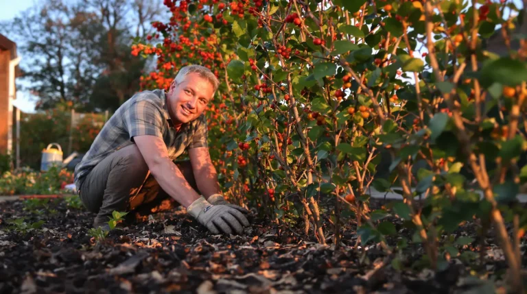 Comment créer une haie défensive pour se protéger efficacement et renforcer la sécurité du jardin