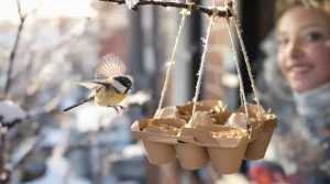 Ne jetez plus vos vieilles boîtes d’œufs : elles attirent les oiseaux au jardin tout l’hiver