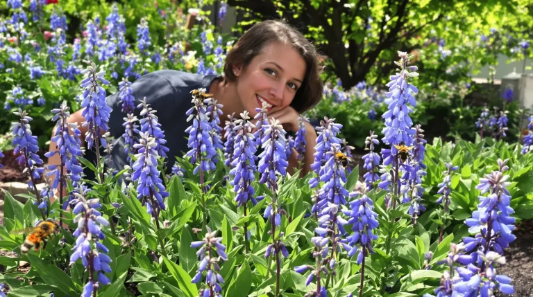 À planter maintenant : cette vivace aux fleurs bleues attire les abeilles et sublime le jardin À planter maintenant : cette vivace aux fleurs bleues attire les abeilles et sublime le jardin