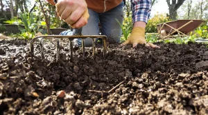 Potager : comment bien aérer son sol au printemps pour relancer la terre avant les premières plantations