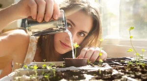 Déconseillée en jardinerie, cette astuce de grand-mère avec une cuillère sauve tous les semis