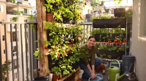 Installer un potager vertical durable pour optimiser un petit espace sur balcon, cour ou jardin étroit