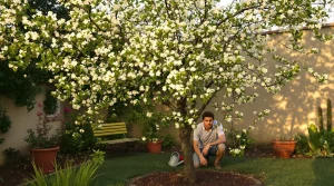 Jardin : ce petit arbre méconnu offre fleurs, ombre et baies comestibles si vous le plantez maintenant