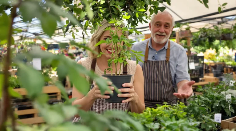 « Les plantes cultivées localement sont plus résistantes » : son marché engagé révolutionne les jardins