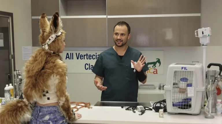 Les vétérinaires portugais invités à ne pas soigner les humains s’identifiant comme animaux