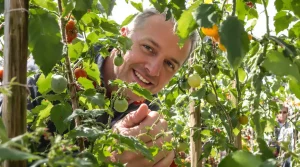 Pincer ses tomates à cette heure précise double la récolte : voici le créneau bien connu des pros