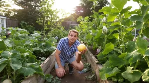Top 8 des légumes les moins rentables au jardin : chers, peu productifs et vraiment difficiles