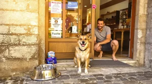 Vacances : ce label Toutourisme fait la différence entre accepter les chiens et vraiment les accueillir