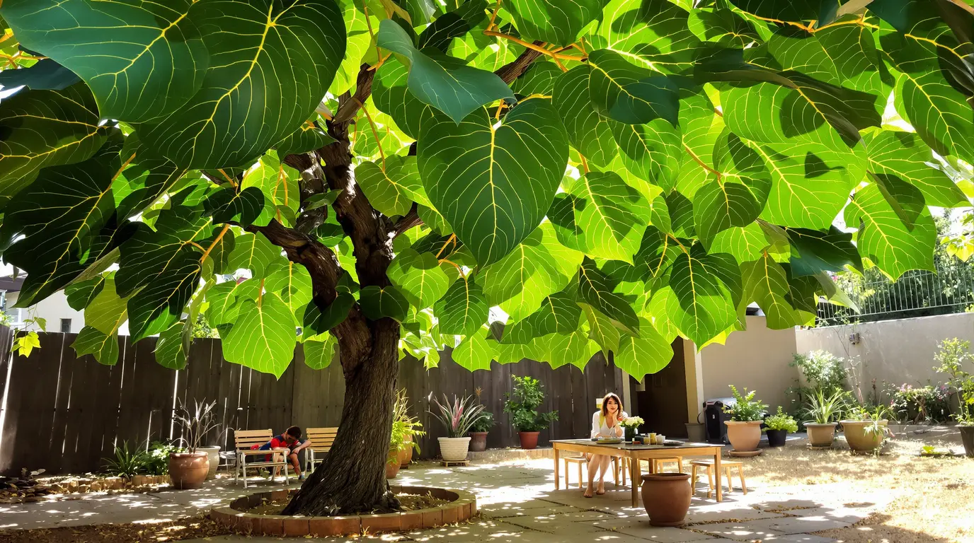 Cet arbre pousse à toute allure et transforme le jardin en oasis, même par 40°C l’été Cet arbre pousse à toute allure et transforme le jardin en oasis, même par 40°C l’été
