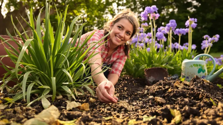 Comment nourrir les agapanthes au printemps pour une floraison généreuse, voici pourquoi ça change tout