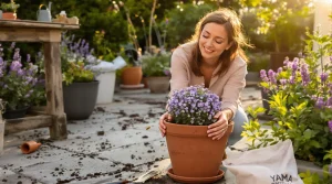 Elle pousse presque seule et parfume le jardin de vanille : la vivace à planter maintenant