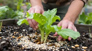Invasion de limaces : les bons gestes pour protéger son jardin, voici pourquoi ils comptent