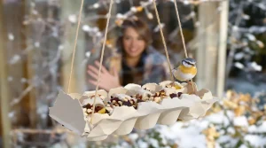 Ne jetez plus vos vieilles boîtes d’œufs, je les transforme au jardin pour attirer les oiseaux tout l’hiver