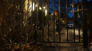 Vols de chats en hausse : dans ces 3 régions françaises, votre animal est désormais en première ligne